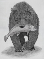 bear and salmon