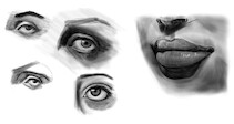 face studies 002